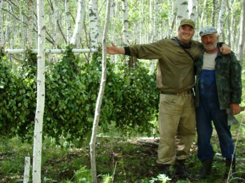 Заготовка веников