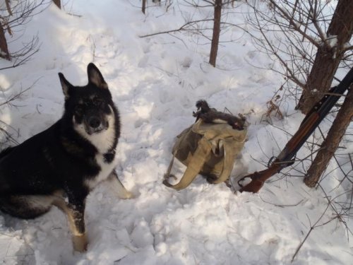 Последняя белочка в этом сезоне