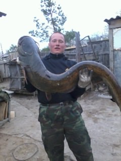 СОМИК