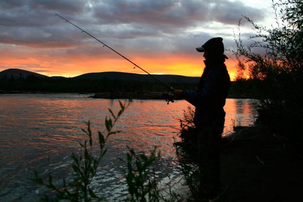 Сом ночная рыбалка фото