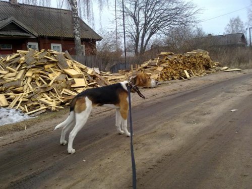 нам уже полгода :)