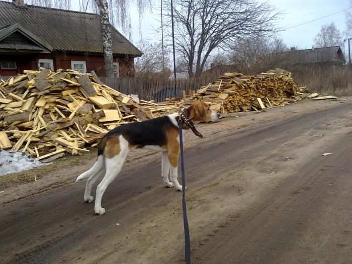 нам уже полгода :)