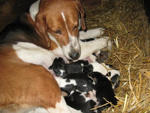 Забота и любовь матери!