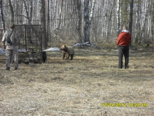 СОК Берендей 7.04.2012