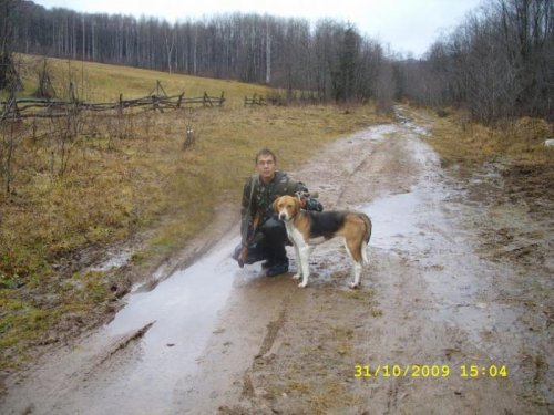 рпг Альфа
