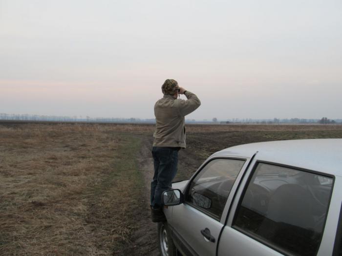 В поисках тока