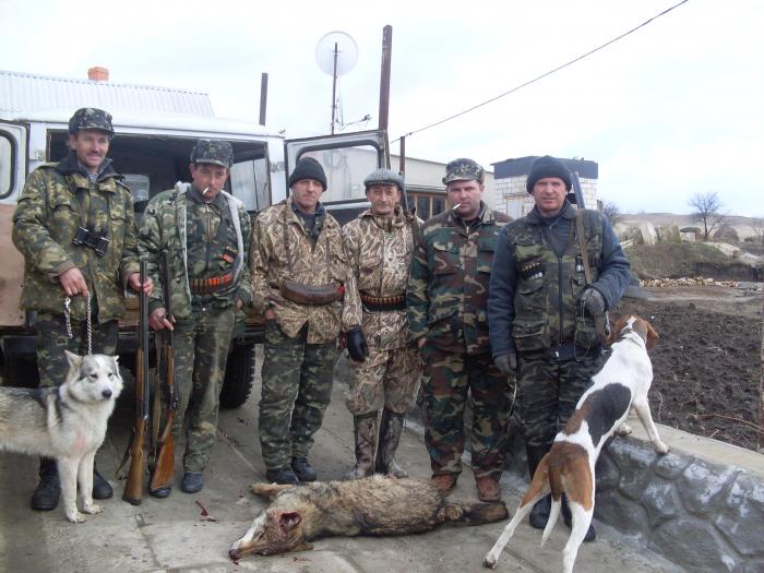 Украина, Одесская обл "охота на волка"