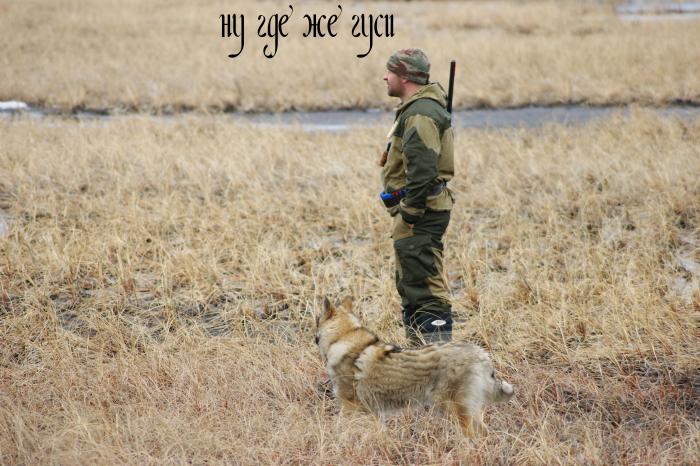 Терпение на исходе