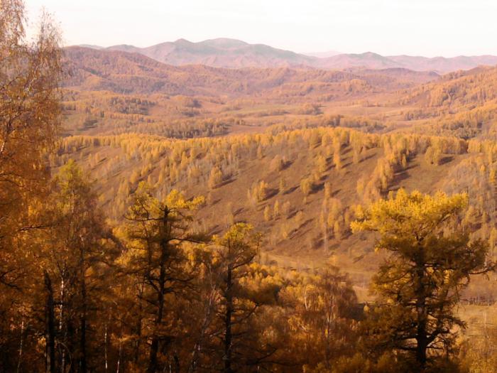 Осень золотая