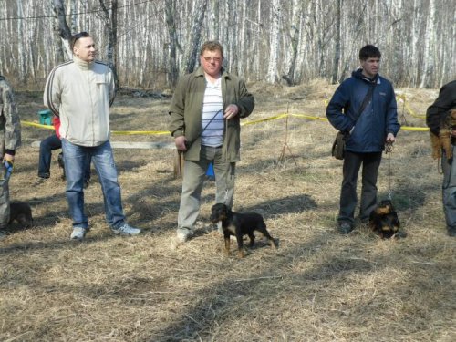 На выстовке в Берендее.