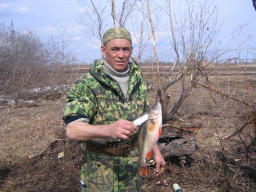 Шегарский район