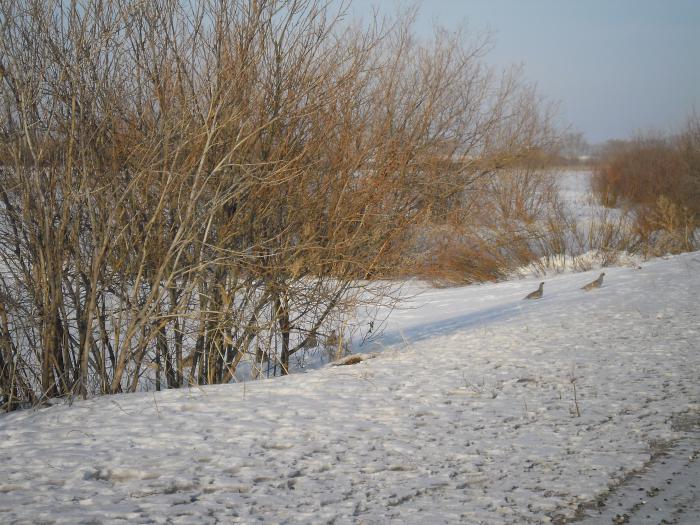 Красота