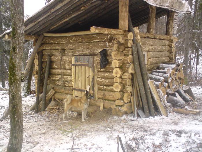 Лесные избушки в Архангельской области