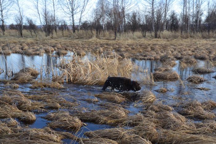 И ледяная вода пофиг.