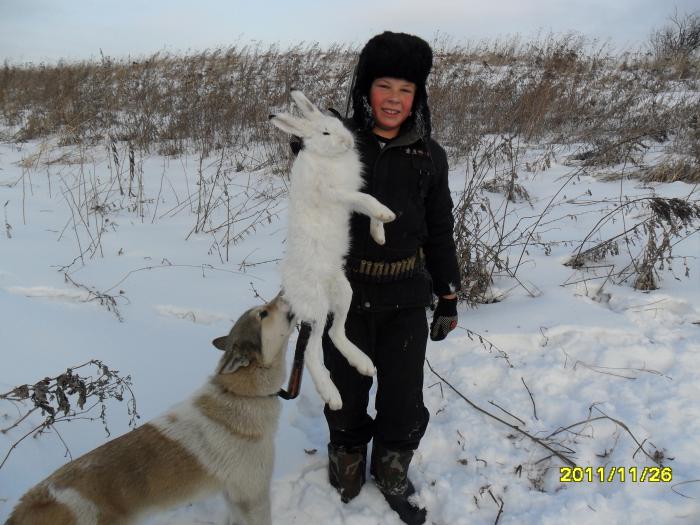 белячок