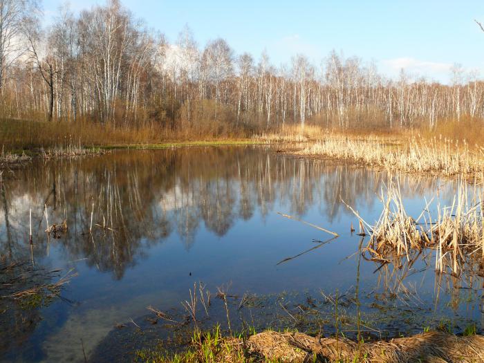 воды нынче мало