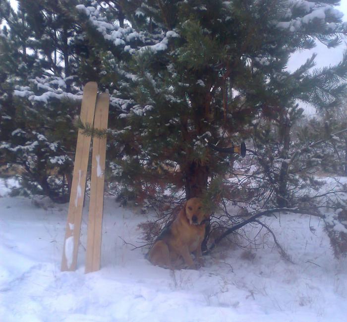 рг