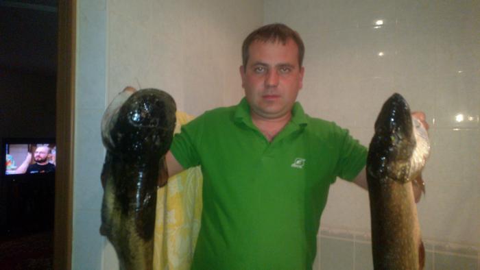 дома после рыбалки