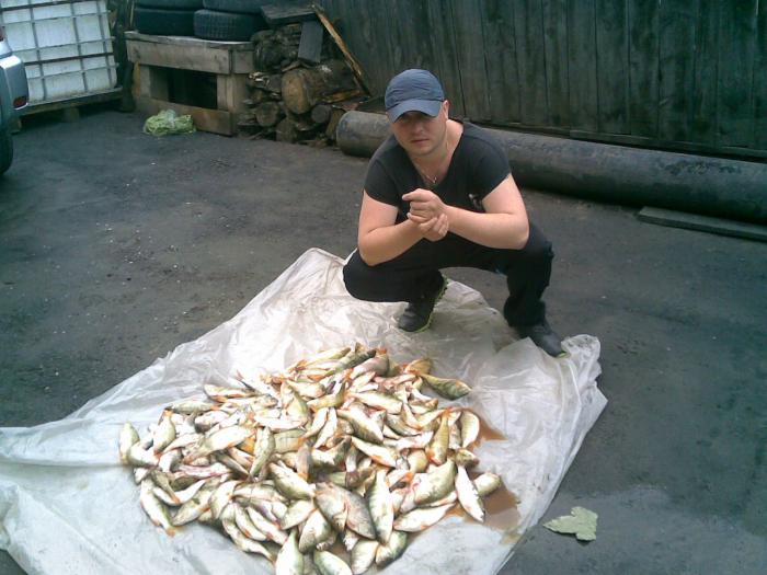 рыбка