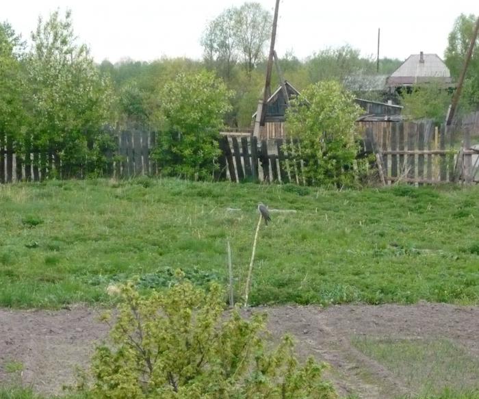 Кто.