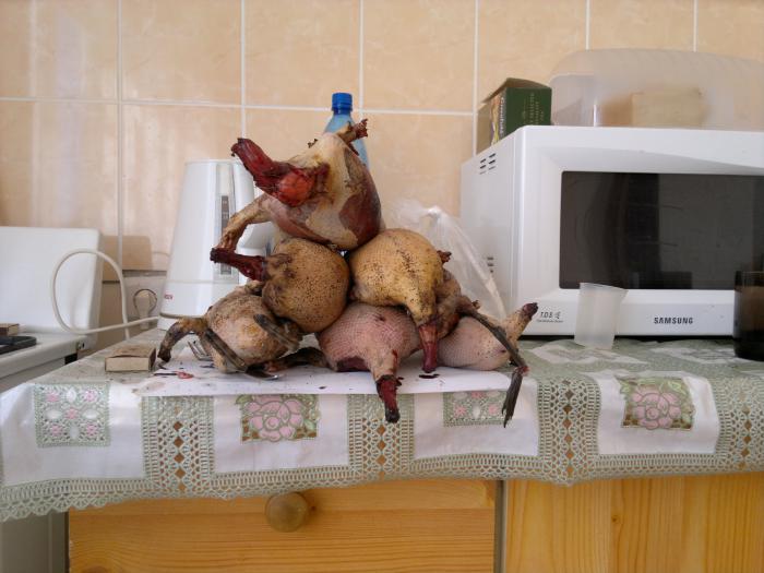 А дальше суп,духовка и т.д
