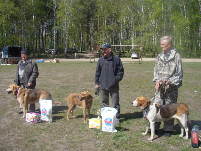 Лучшие на выставке 2012