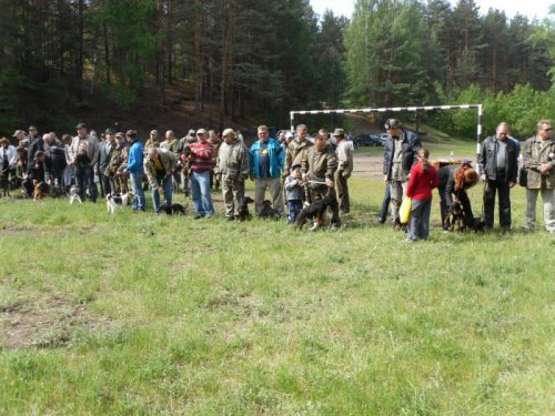 Парад учасников.