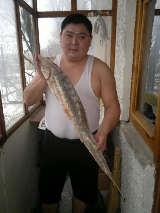 Уха