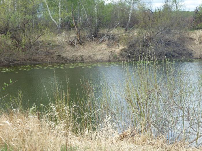 Уень 2012.Весна 18.05.12.