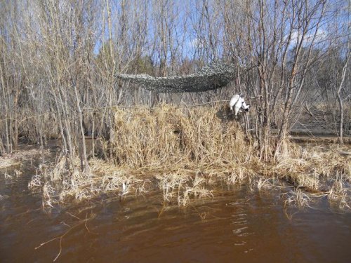 Открытие утиной охоты в Верхнекетском районе Томской области