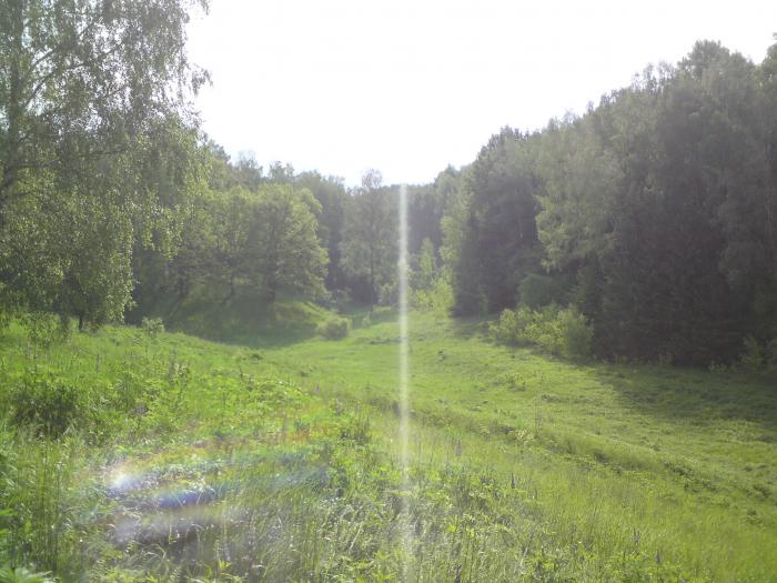 красота