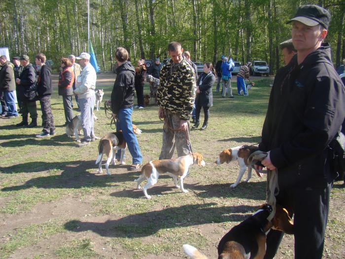 Эстонцев было мало ((((