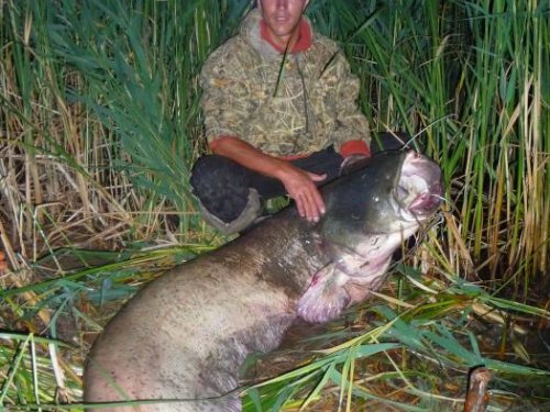 Охота на речных испалинов 15.08.2011г.