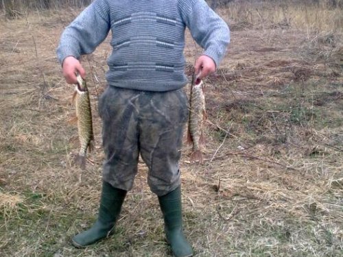 щучки