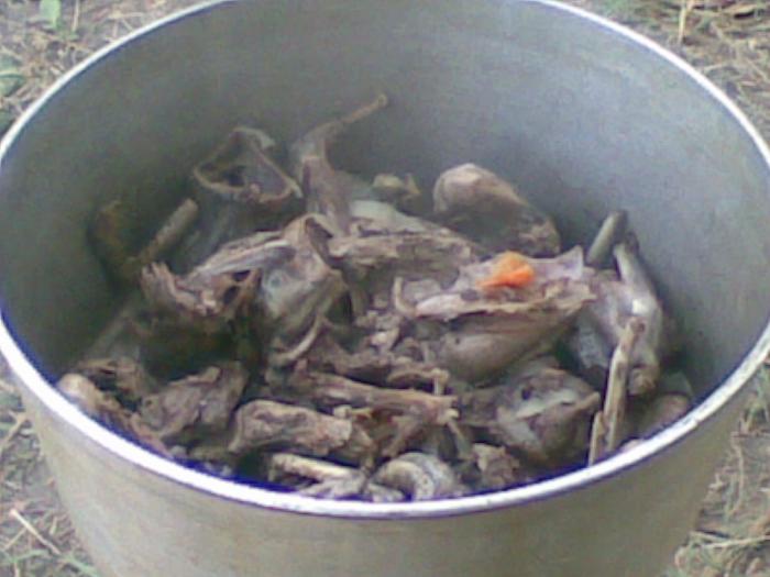 Кулики