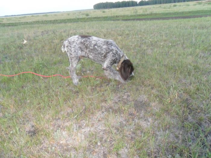 Первый выход в поле 1