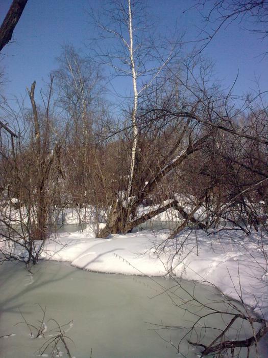 Март 2012