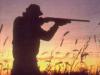 В Хакасии разрабатывается схема охотничьих угодий