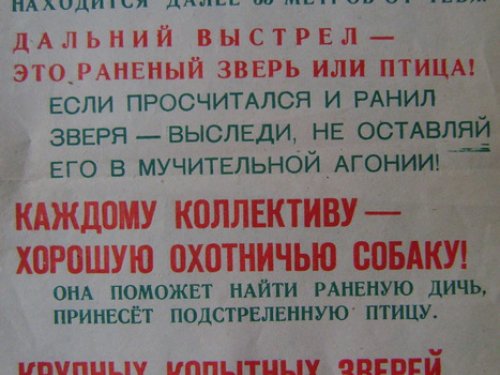 Правило  для настоящих охотников.