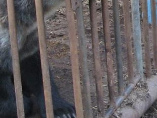 Давй закурим, товарищь по одной