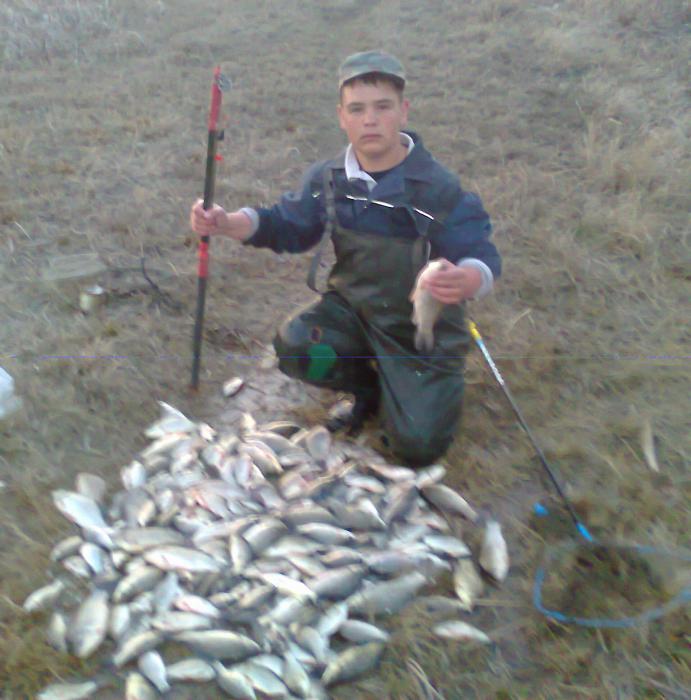 у нас но оз.Курск за утро