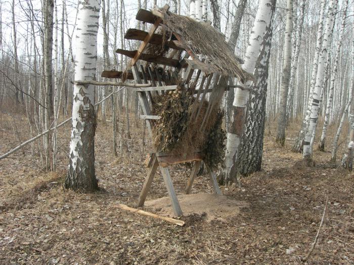 кормушка участок "Рямовский"