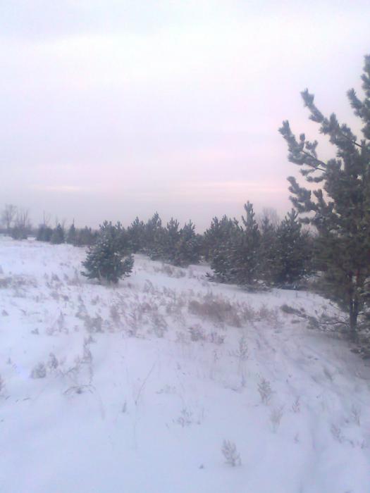 зима