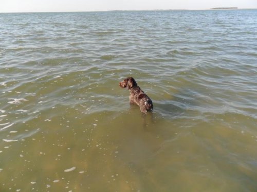 Нихрена себе сколько воды.