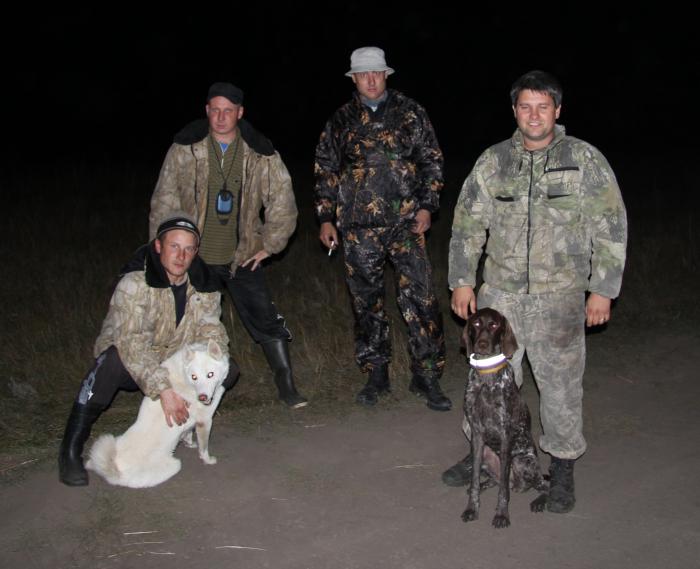 Барсук осень2011 Ордынка