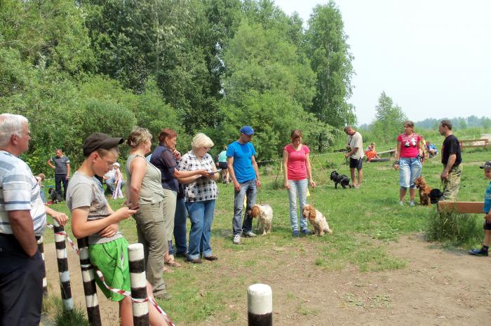 С мира по нитке
