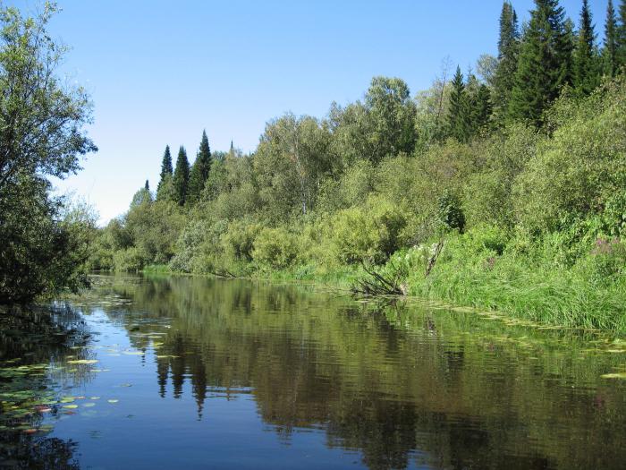 Щегарка