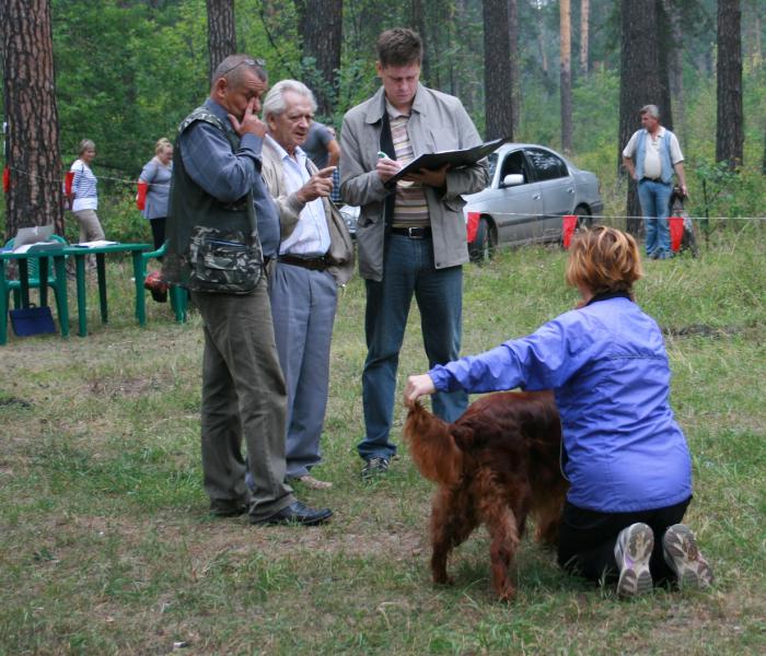 Алтайская краевая выставка собак 04.08.12