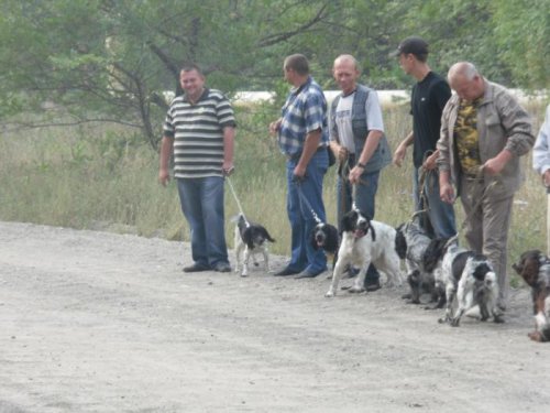 Краевая выставка .