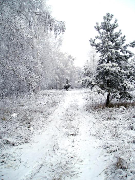 Зауралье